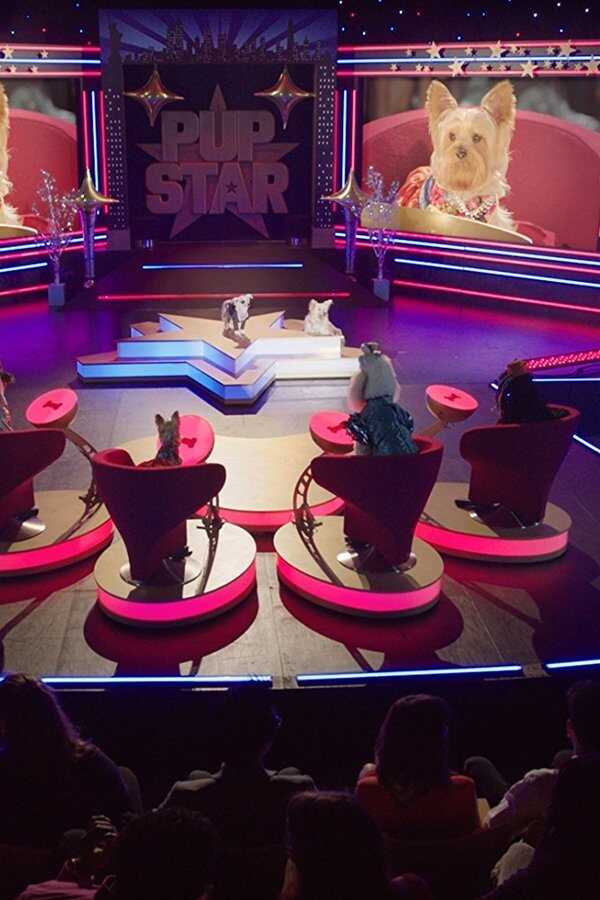 Pup Star: Wereldtournee (2018) 0