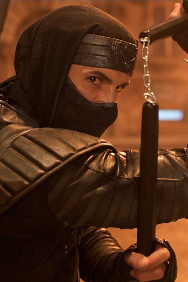 Ninja - Revenge will rise (2009) 0