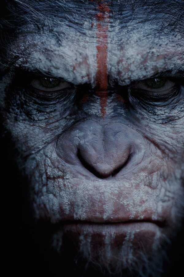 Dawn of the Planet of the Apes (2014) 0