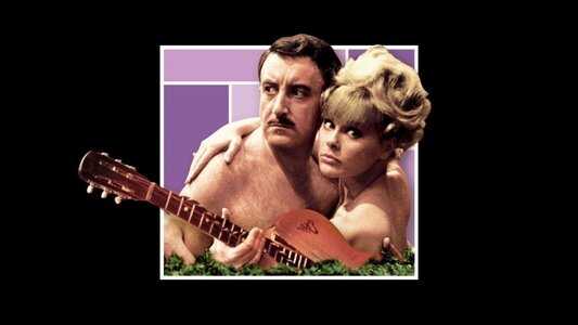 El nuevo caso del inspector Clouseau (1964) 0