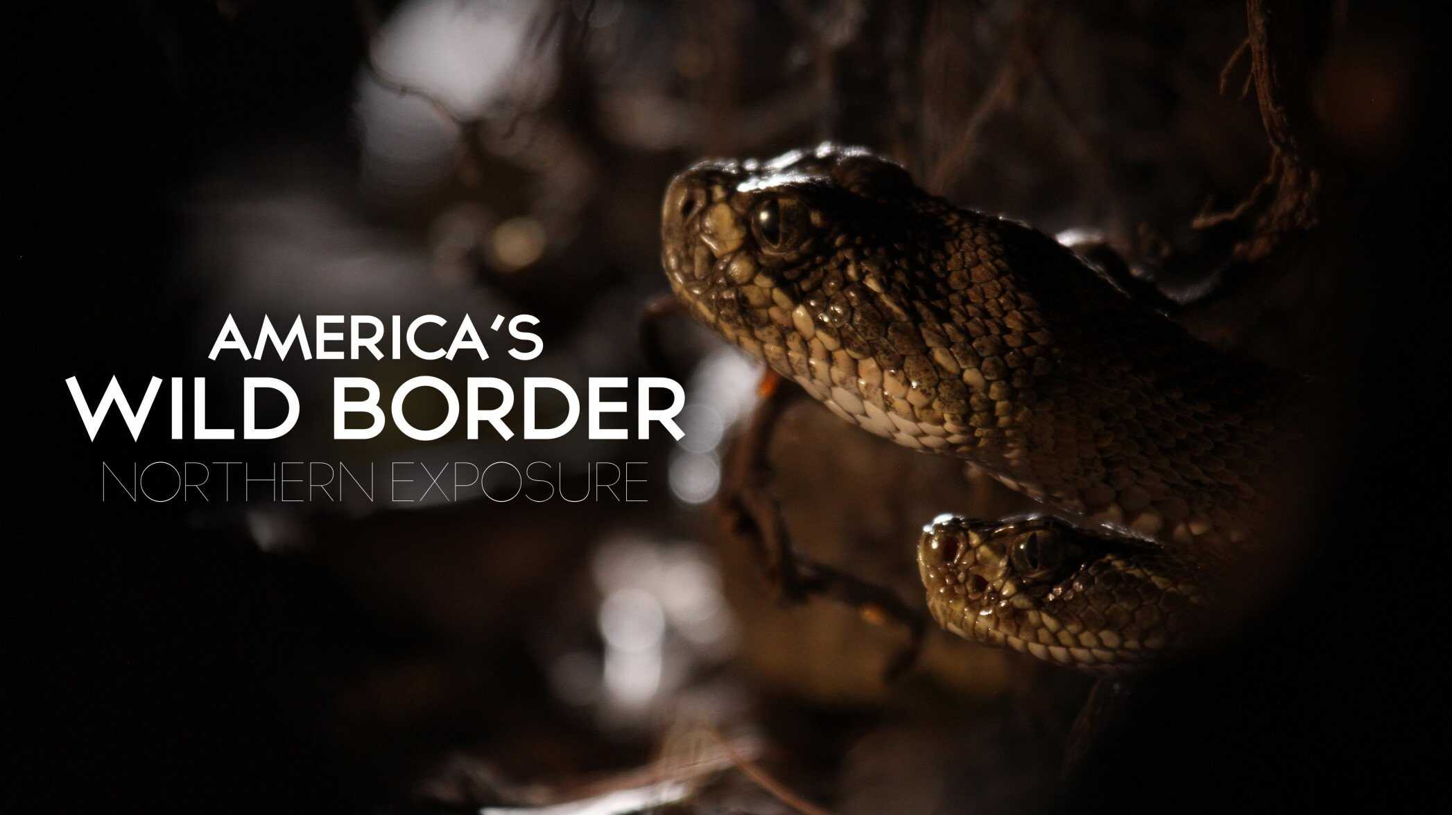 America's Wild Border: Northern Exposure (2020) 0